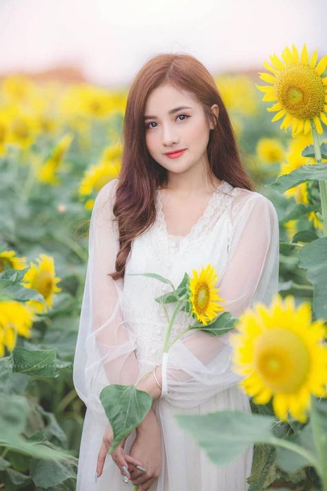 电视剧花红花火全集免费观看